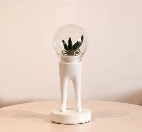 Matteo Cibic for Bosa DOMSAI Terrariums – Set of 3