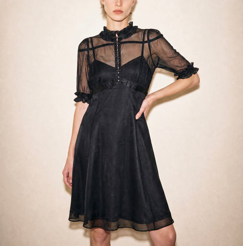 Vintage Black Sheer Mesh Ruffle dress