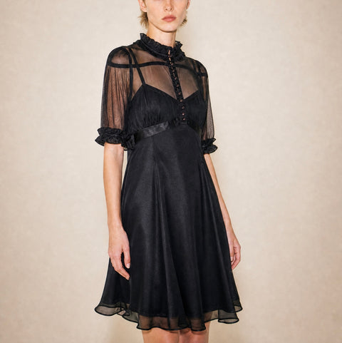 Vintage Black Sheer Mesh Ruffle dress