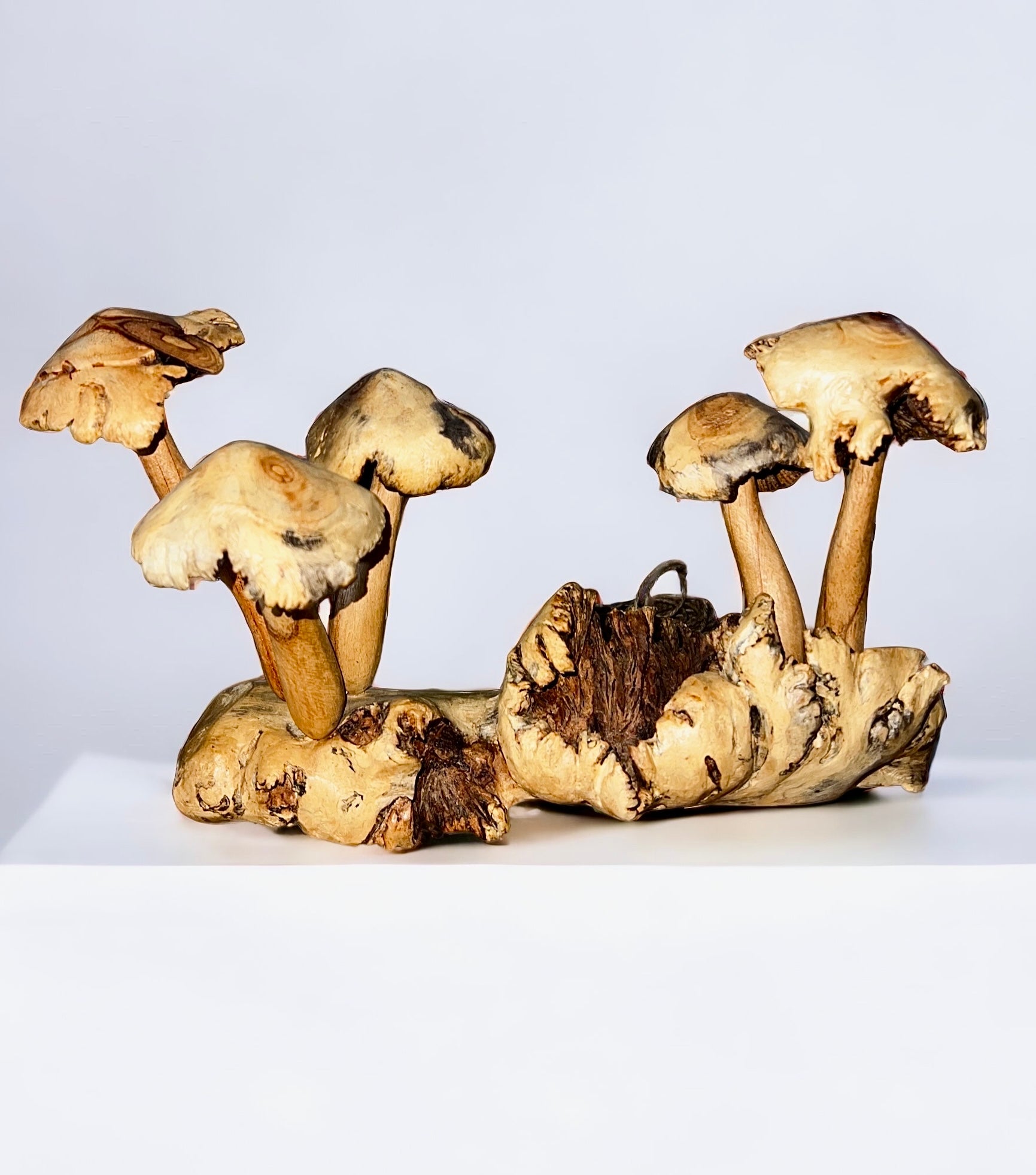 Burl Wood Mushroom 5 Toadstools Sculpture (Vintage)