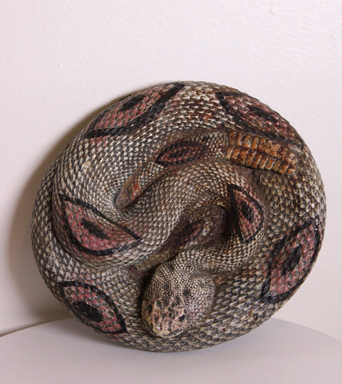 Coiled Snake Sculpture