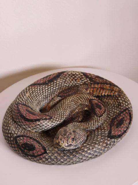 Coiled Snake Sculpture