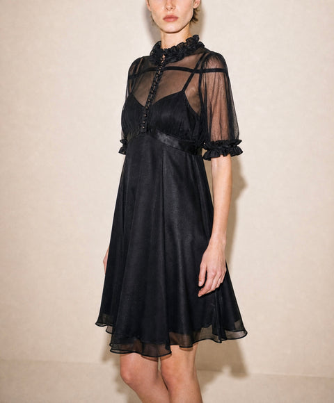 Vintage Black Sheer Mesh Ruffle dress