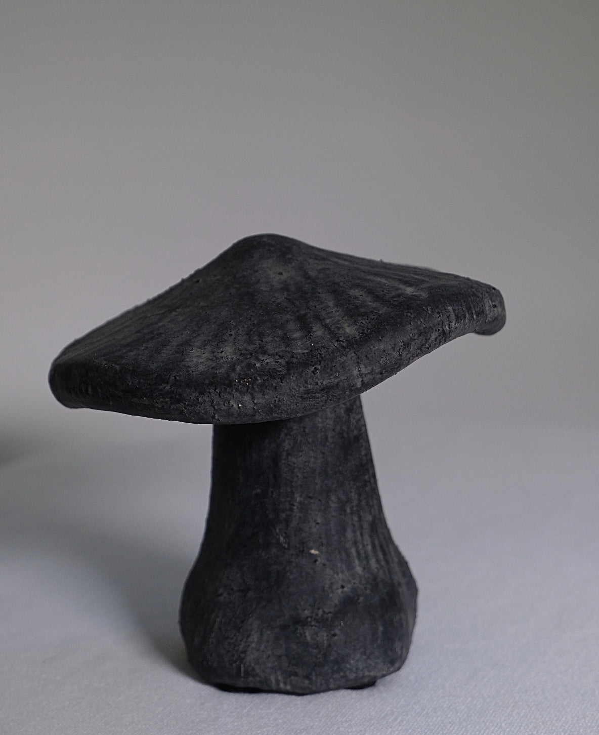 Trippy Studio Pottery Mushroom Sculptures (Pair)