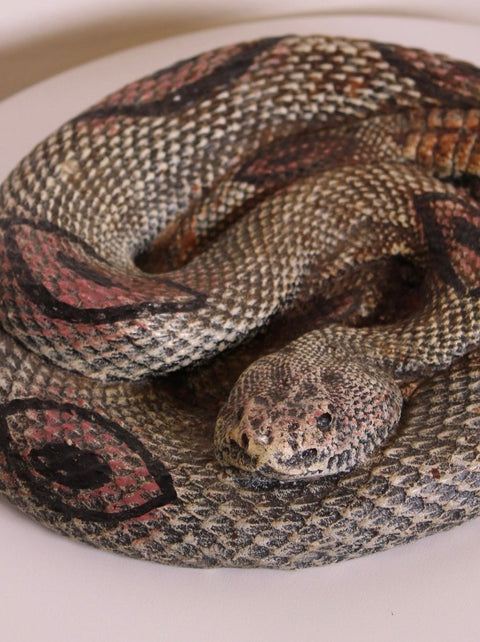 Coiled Snake Sculpture