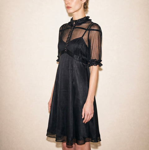 Vintage Black Sheer Mesh Ruffle dress