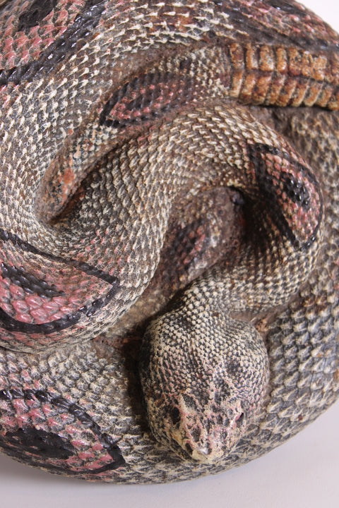 Coiled Snake Sculpture