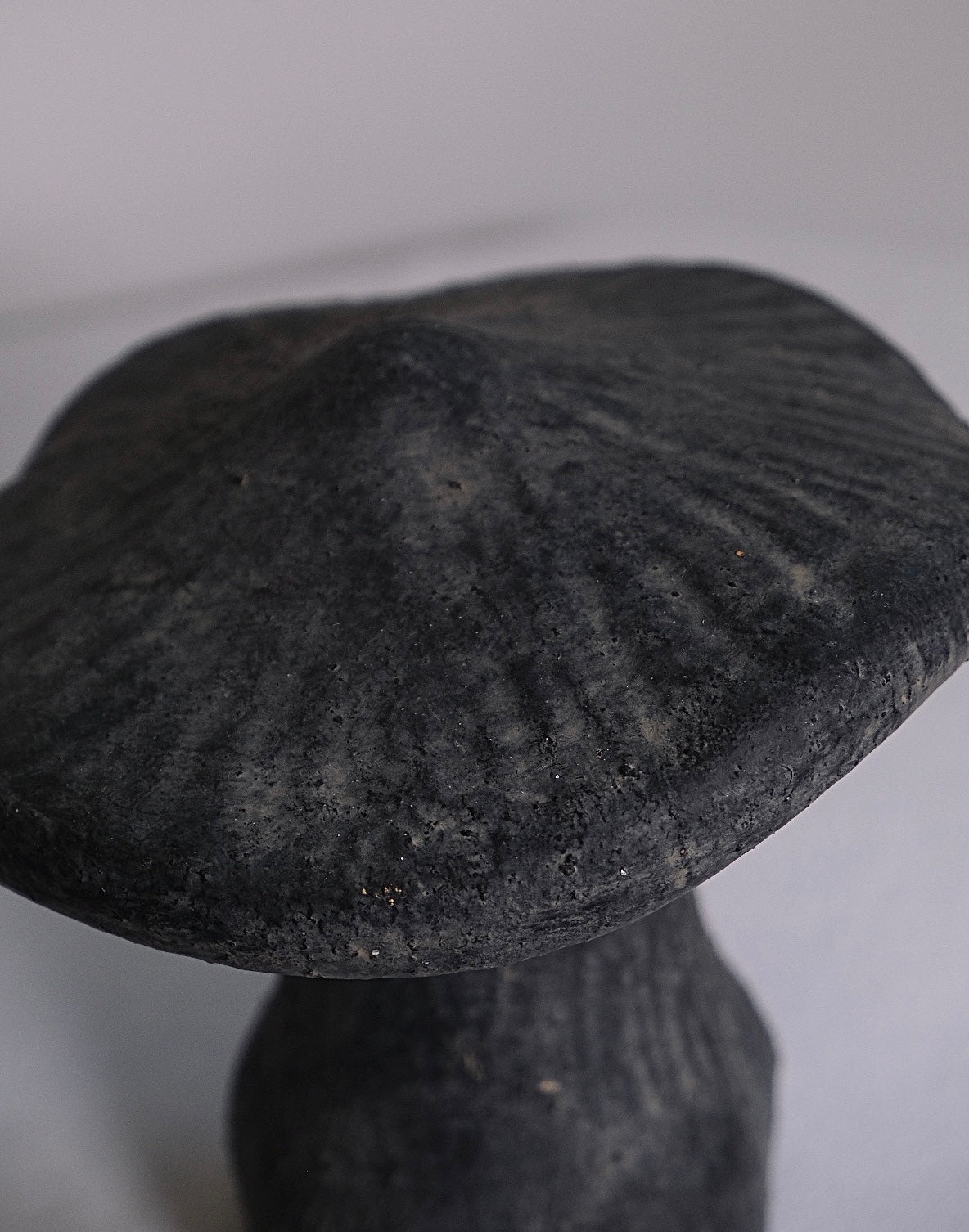 Trippy Studio Pottery Mushroom Sculptures (Pair)