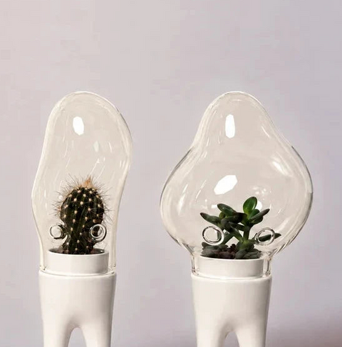 Matteo Cibic for Bosa DOMSAI Terrariums – Set of 3