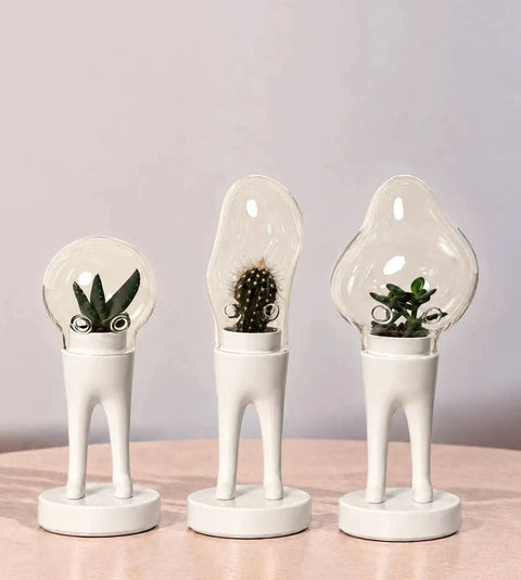 Matteo Cibic for Bosa DOMSAI Terrariums – Set of 3