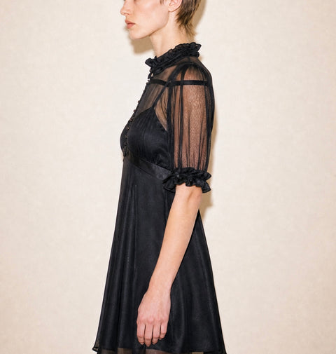 Vintage Black Sheer Mesh Ruffle dress