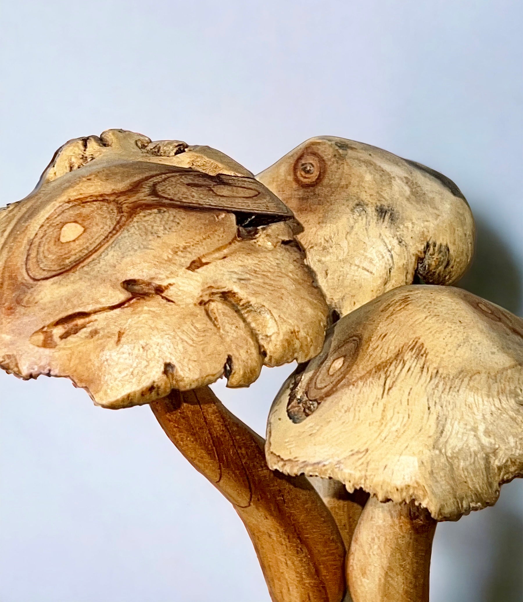 Burl Wood Mushroom 5 Toadstools Sculpture (Vintage)