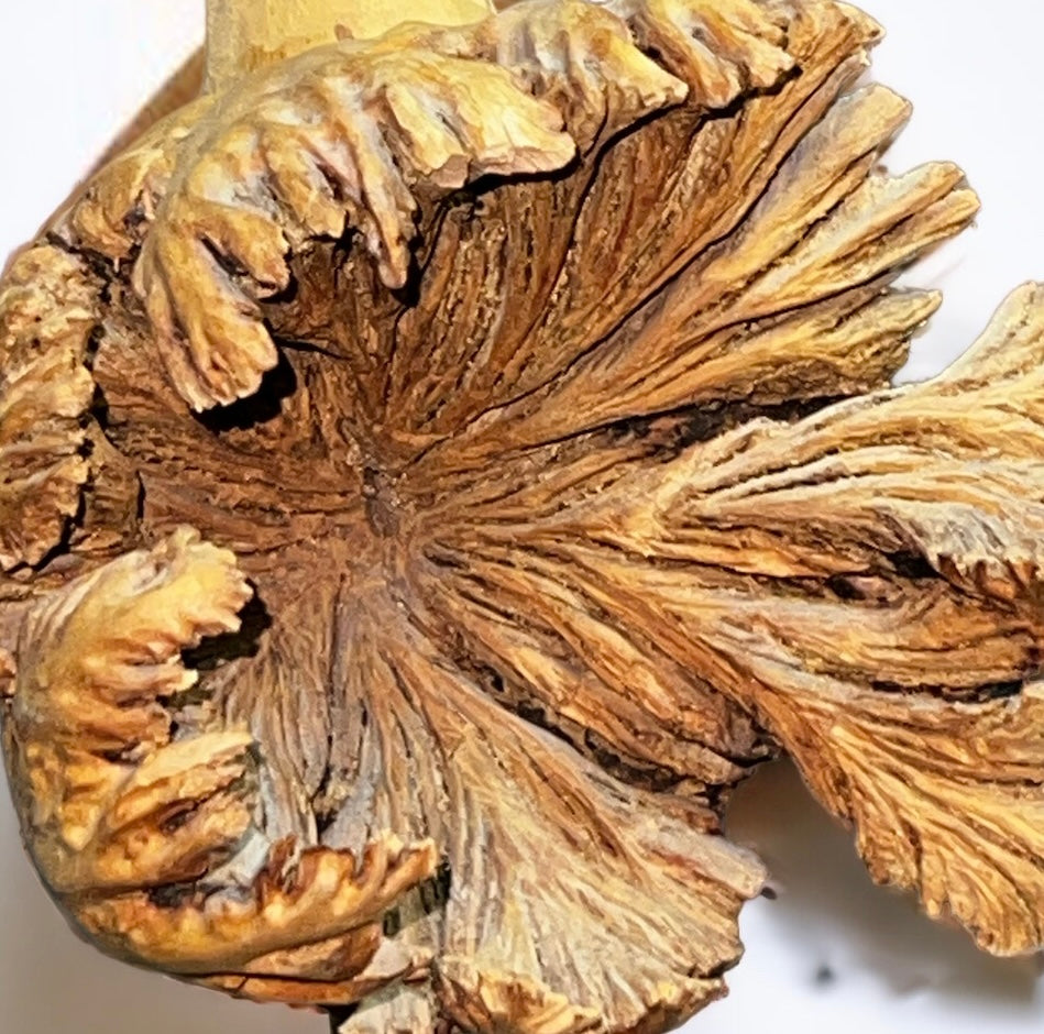 Natural Burl Wood Crane (Vintage)