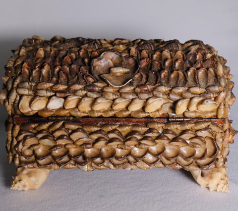 Shell Encrusted Jewelry Box (Vintage)