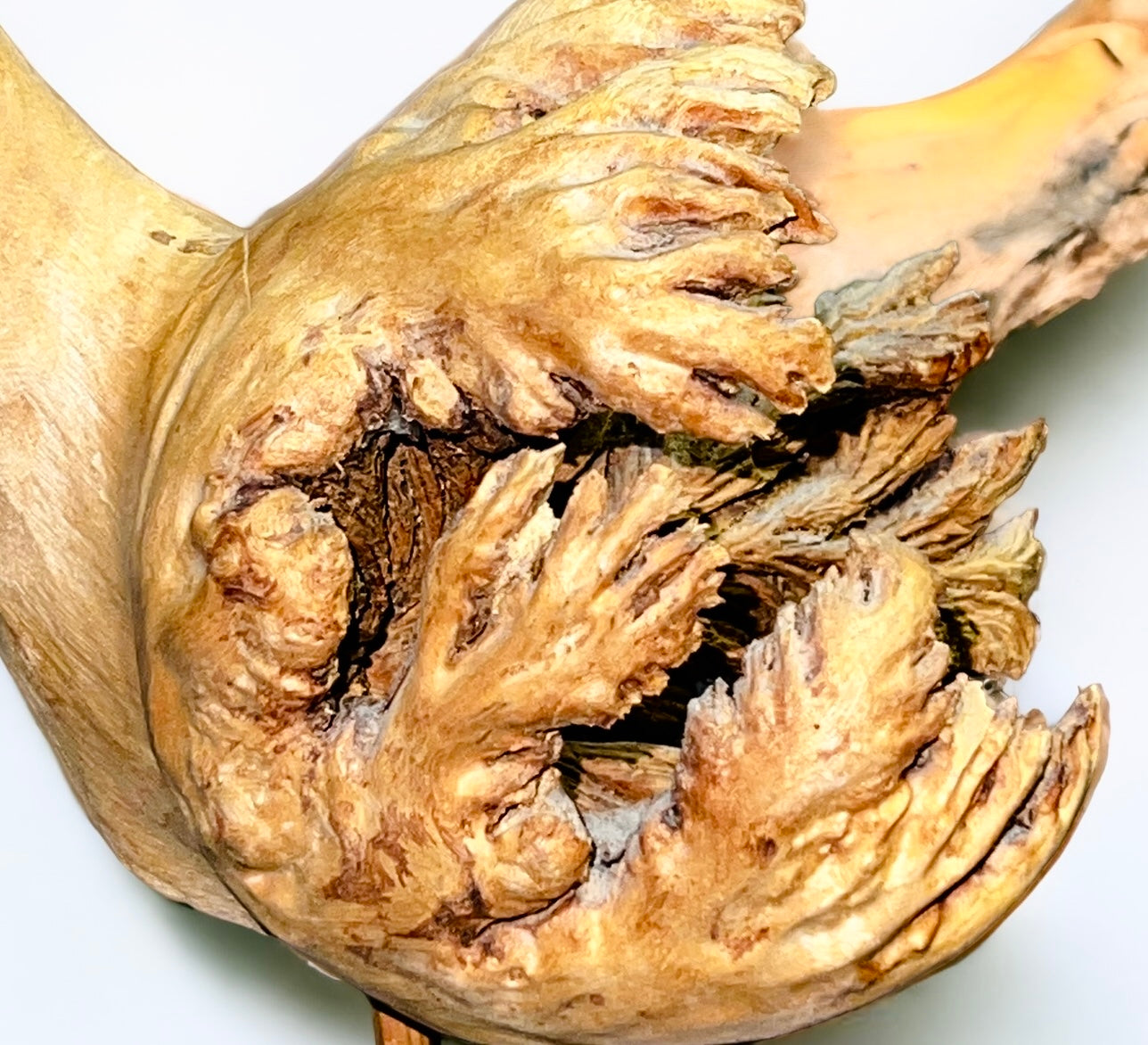 Natural Burl Wood Crane (Vintage)