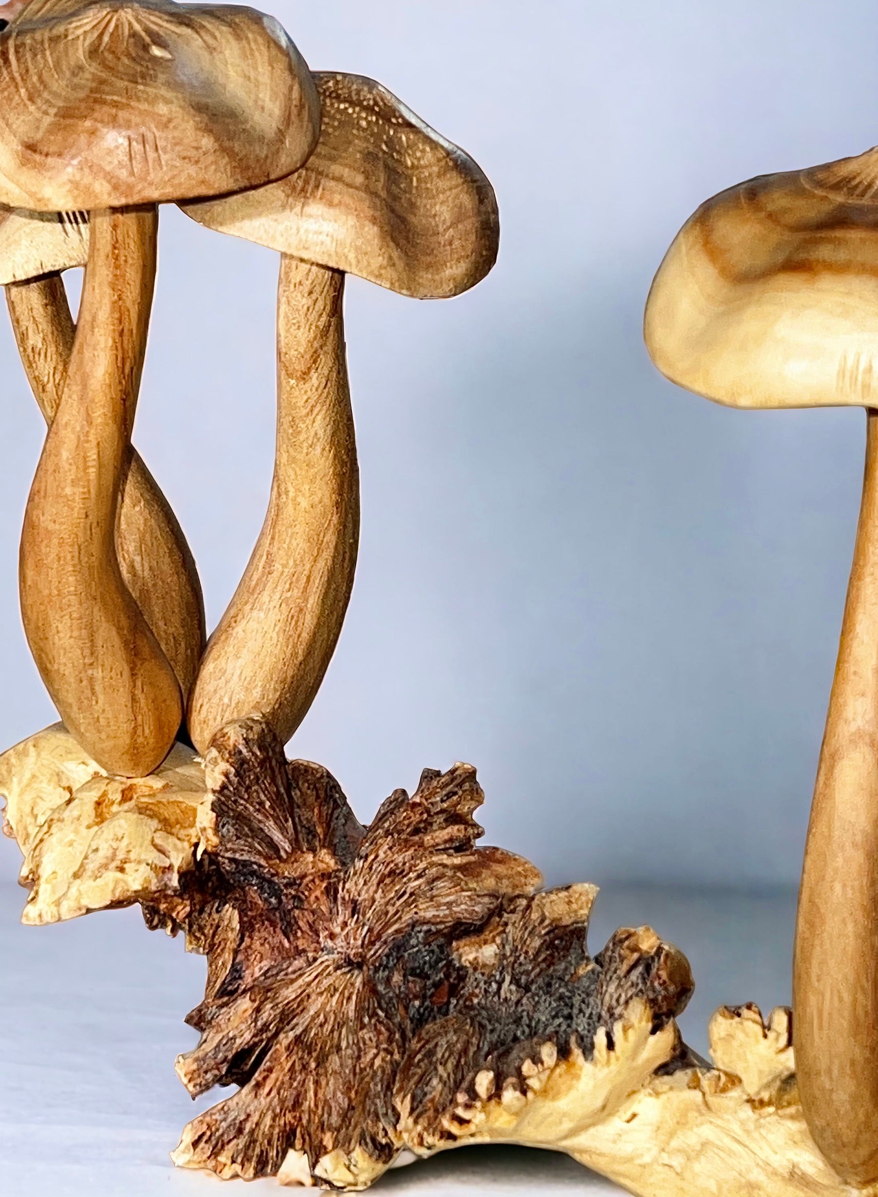 Burl Wood Mushroom 6 Toadstools Sculpture (Vintage)