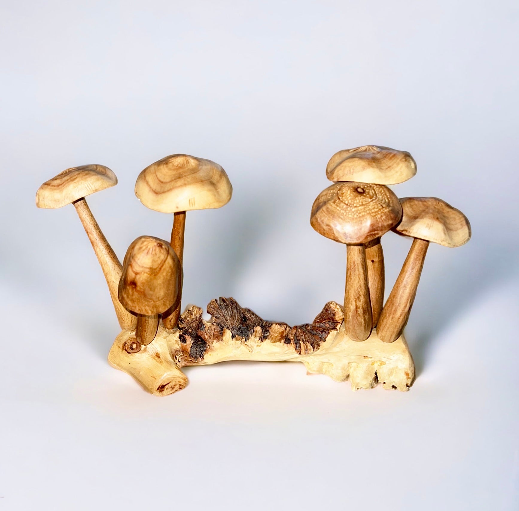Burl Wood Mushroom 6 Toadstools Sculpture (Vintage)