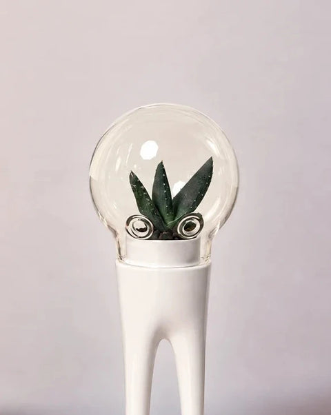 Matteo Cibic for Bosa DOMSAI Terrariums – Set of 3