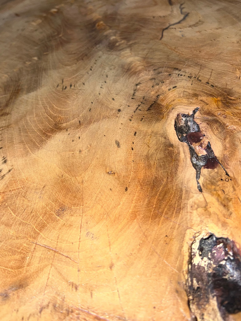 Live Wood Edge Coffee Table