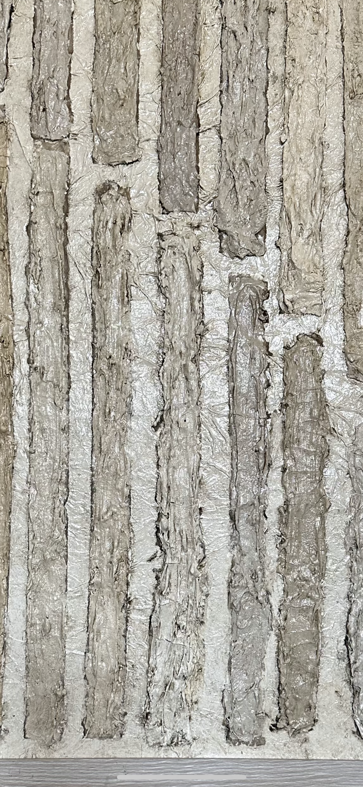Neutral Lines